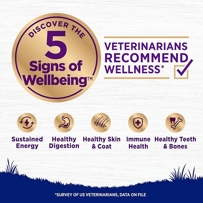 Wellness Complete Health Dry Dog Food, Large Breed, Wholesome Grains, Natural, Chicken & Brown Rice Recipe, (15-Pound Bag)