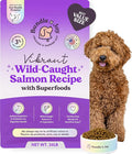 Bundle x Joy Vibrant Probiotic Dog Food Dry, Salmon, 24lb Bag, Allergy and Gut-Friendly Adult Kibble for Digestive Health with Wild-Caught Salmon, 20 Plant Based Superfoods, Grain x Poultry Free