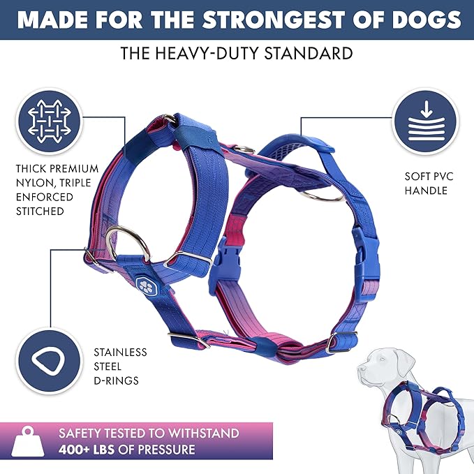 Spark Paws No Pull Dog Harness with Handle for Large Dogs, Heavy Duty Dog Harness for Big Strong Breeds, Adjustable, Y Shaped Padded Halter Design with Front Clip - Snow Cone - M