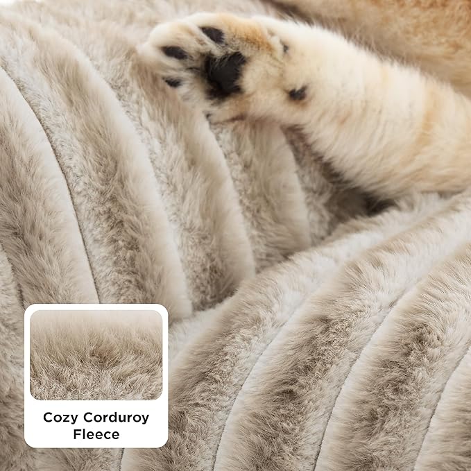 Bedsure ComfyFleece Cute Cat Couch for Pets - Fluffy Cat beds with Premium Soft Corduroy Fleece, Fuzzy Cats beds for Indoor Cats with Removable Washable Cover, Supportive Pet Sofa, 24inch, Amphora