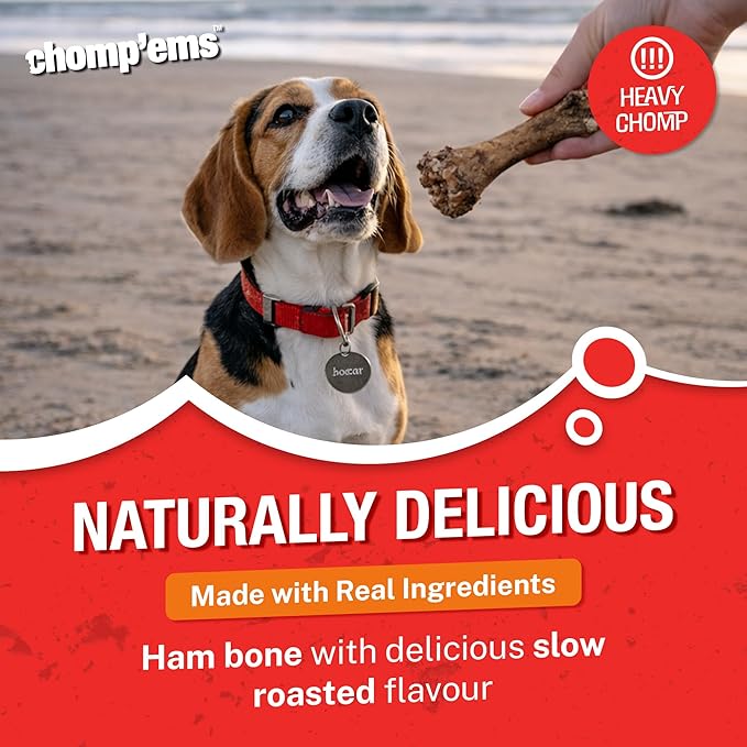 Chmp EMS Ham Bone Size Ea Chmp'Ems Ham Bone