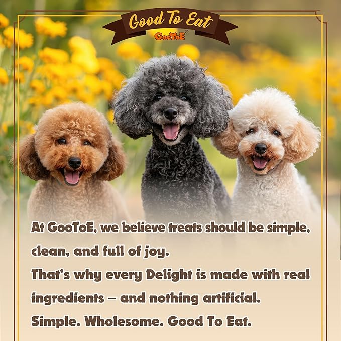 Gootoe Turkey Tendons for Dogs – All-Natural, Hypoallergenic Dog Treats, Rawhide Alternative, Long Lasting Puppy Chews, Healthy Dog Treats for Large Breeds, Rope (L), 16 oz Pack (1 lb)