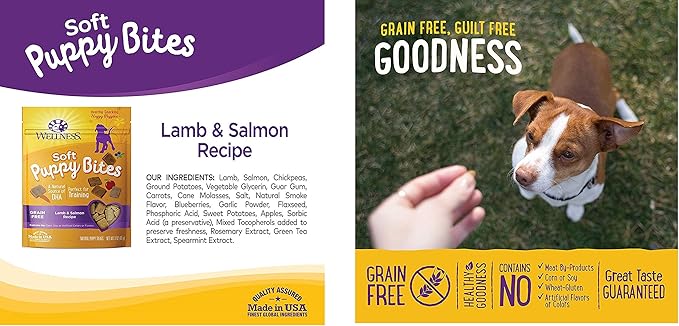 Wellness Natural Pet Food Grain Free Puppy Training Treats, 2 Pack