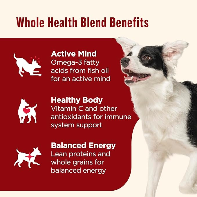 Nutrish Real Beef & Pumpkin Recipe Whole Health Blend Premium Paté Wet Dog Food,13 oz. Can,Packaging May Vary (Rachael Ray),(Pack of 24)