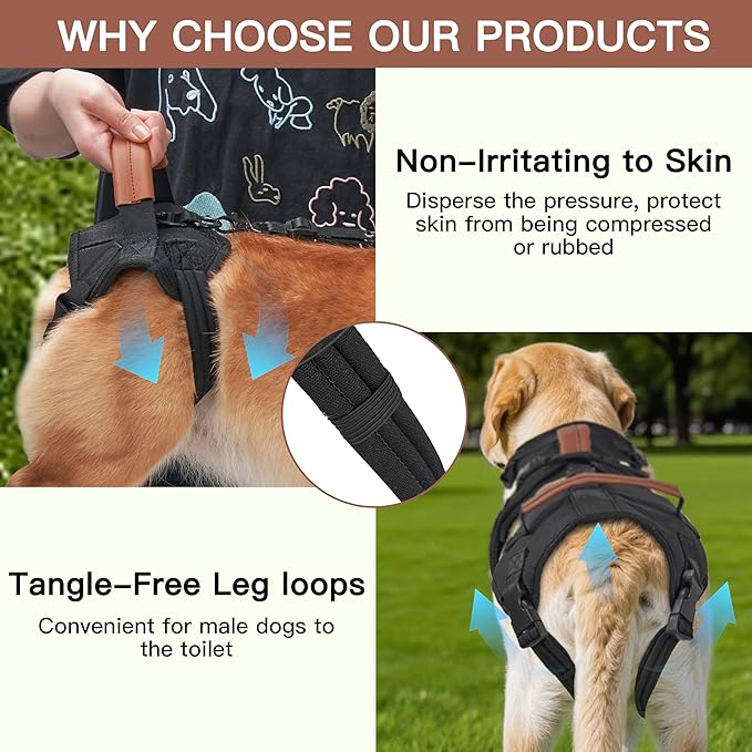 Dog Lift Harness, Full Body Dog Harness with Handle for Lifting, Front/Back Leg Support, Prevent Chafing Pee-Able Design, 2-in-1 Detachable Dog Assist Harness for Senior Disabled Dogs Up to 55lb