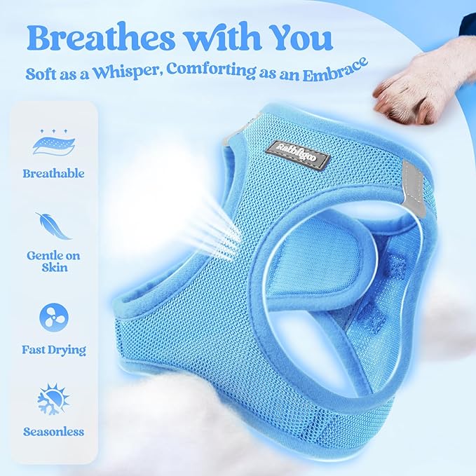 rabbitgoo Dog Harness Small Medium Sized and Leash Set, Step in Soft Light Puppy Vest, Breathable Mesh Pet Harness, Reflective for Safe Easy Walking, Blue L