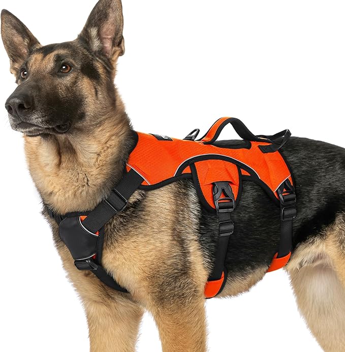 rabbitgoo Escape Proof Dog Harness, Soft Padded Full Body Pet Harness, Reflective Adjustable No Pull Vest with Lift Handle and Leash Clip for Large Dogs Walking Hiking Training, XL, Orange