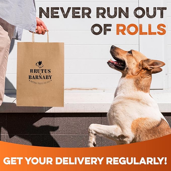 Premium Beef Cheek Rolls for Dogs 10-12" - (3-Pack), Peanut Butter Flavored Long Lasting, Safe & Natural Rawhide Alternative Chews, Ideal for Large Dogs & Aggressive Chewers, Supports Dental Health
