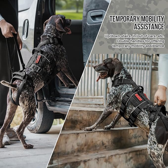 OneTigris Breathable Dog Lift Harness for Large Medium Sized Dogs, Dog Sing for Large Dogs Hind Leg, Dog Hip Support Brace Front Leg Support Vrace