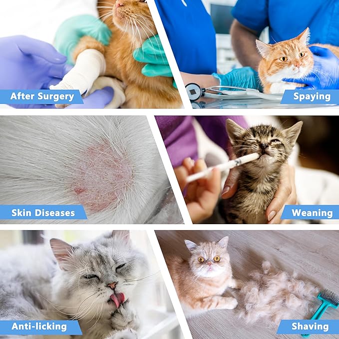 Cat Recovery Suit Anti Licking, Cat Surgery Recovery Suit Female Cats Kitten Onesie After Spay, Cone of Shame Alternative, Post- Surgery Kitten Surgical Clothes for Abdominal Wounds(Blue,S)