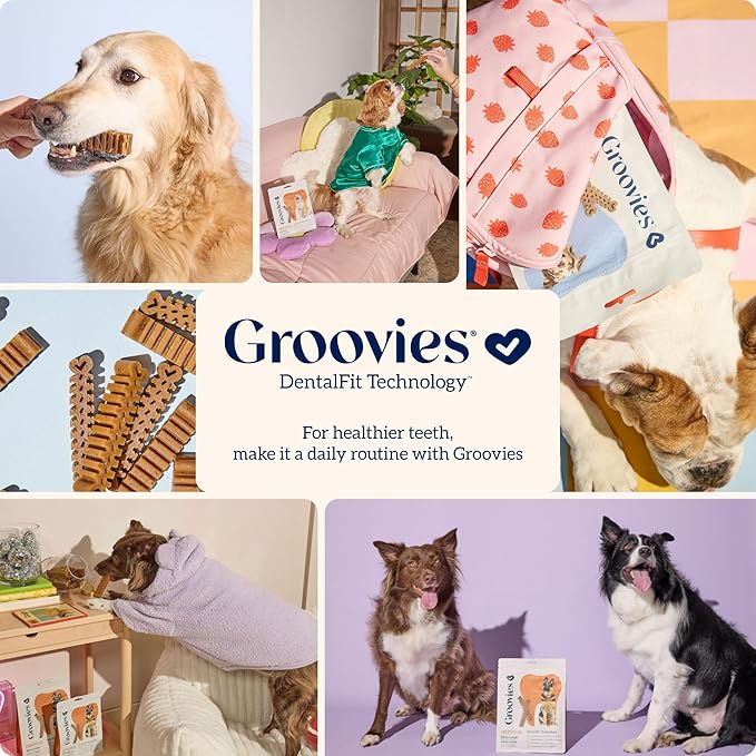 Groovies Senior Small Dog Dental Chews for Dogs, Patented DentalFit Technology for Plaque & Tartar Support, Flexible Texture for Easy Chewing, Chicken Flavor, USA Manufactured, 5–15 lb Dogs,22 Count