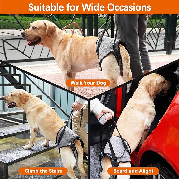 ROZKITCH Dog Lift Harness, Pet Rear Support Aid Veterinarian Approved Sling for Old K9 Help with Poor Stability, Back Leg Hip Disabled Joint Injury Elderly Arthritis ACL Rehabilitation Rehab Grey XL