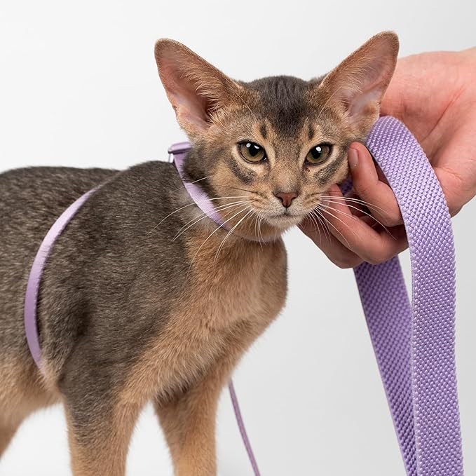 Cat Harness and Leash 2-in-1, Escape Proof Anti-Chocking Harness Adjustable Lighweight Leash for Walking Outoor Training for Kitten Small Large Cats Puppy, US IDA Bronze Award (Vivid Red)