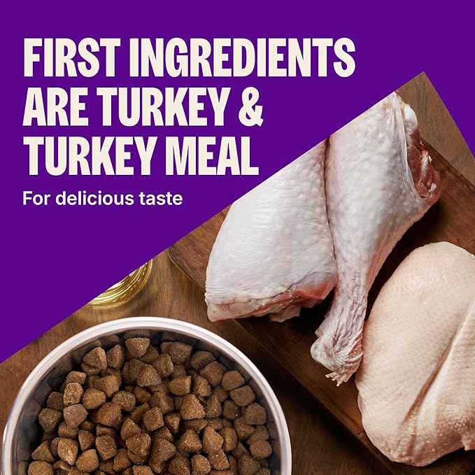 Wellness CORE Dry Dog Food, Small Breed, Grain-Free, High Protein, Natural, Healthy Weight Turkey & Chicken Recipe, (12-Pound Bag)