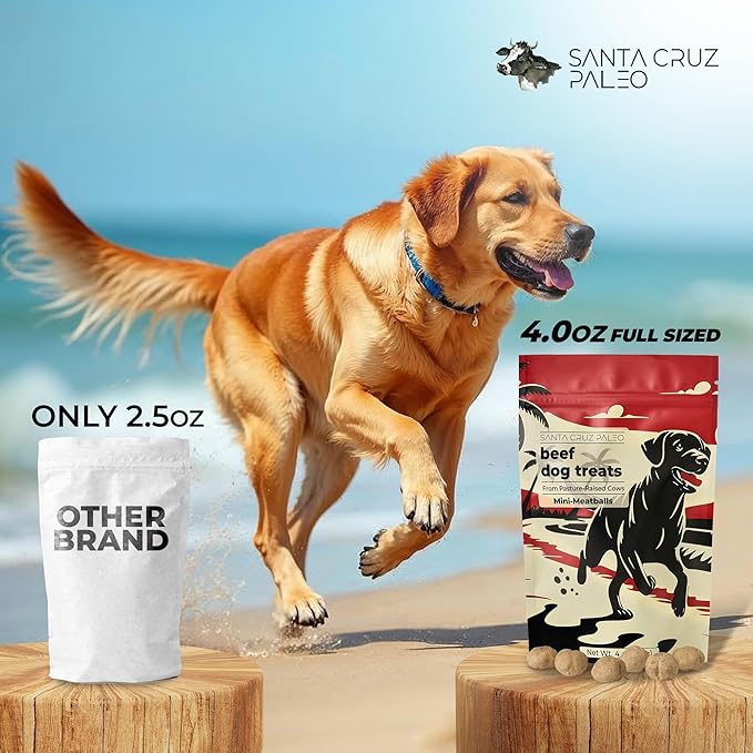 Santa Cruz Paleo Dog Treats, 4 oz Bag, Beef Liver Treats for Dogs with Beef Heart, Vitamin E, Healthy Mini Meatball Dog Training Treats or Food Topper Made with 100% Pasture Raised Beef, High Protein