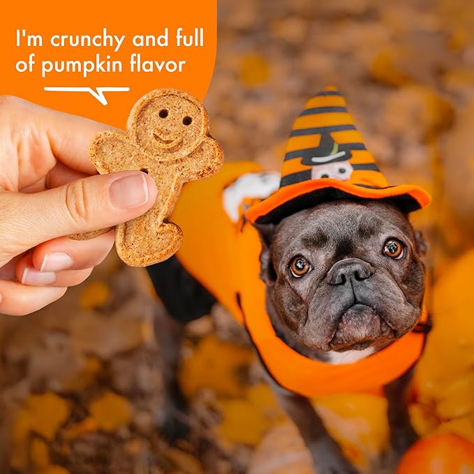 Buddy Biscuits Crunchy Wheat Free Halloween Dog Treats with Pumpkin, 14 oz. Box