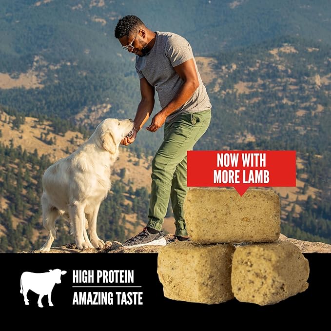 ORIJEN Grain Free High Protein Freeze Dried Dog Treats Regional Red Recipe 1.5oz Bag