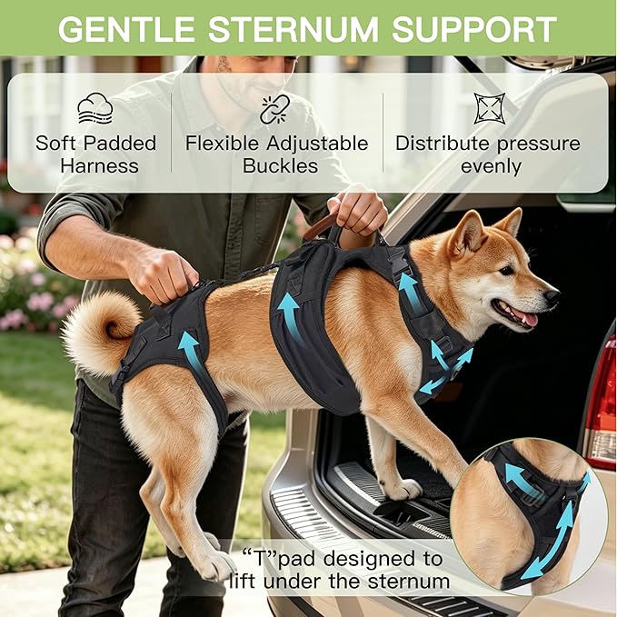 Dog Lift Harness for Male Dogs - 2-in-1 Full Body Support Aid & Sling, Comfortable & Chafe-Free for Post-Surgery Recovery and Elderly Dog Mobility, Hind Leg Assistance, Supports up to 55 Lbs (L)