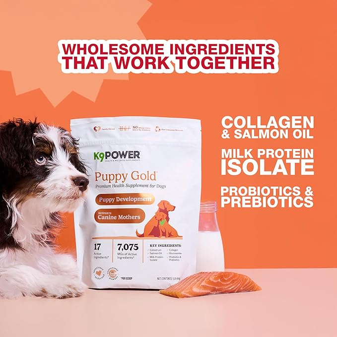 K9 Power Puppy Gold – Puppy Supplement for Growth & Development – Also Supports Pregnant & Nursing Mothers – Colostrum, DHA, Glucosamine, Collagen, Probiotics, Creatine, Milk Protein, Salmon Oil