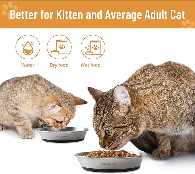 Cat Bowls, Stainless Steel Cat Bowls for Food and Water, Whisker Fatigue Shallow Non-Slip Dishes Plates for Small Dog Puppies Cats