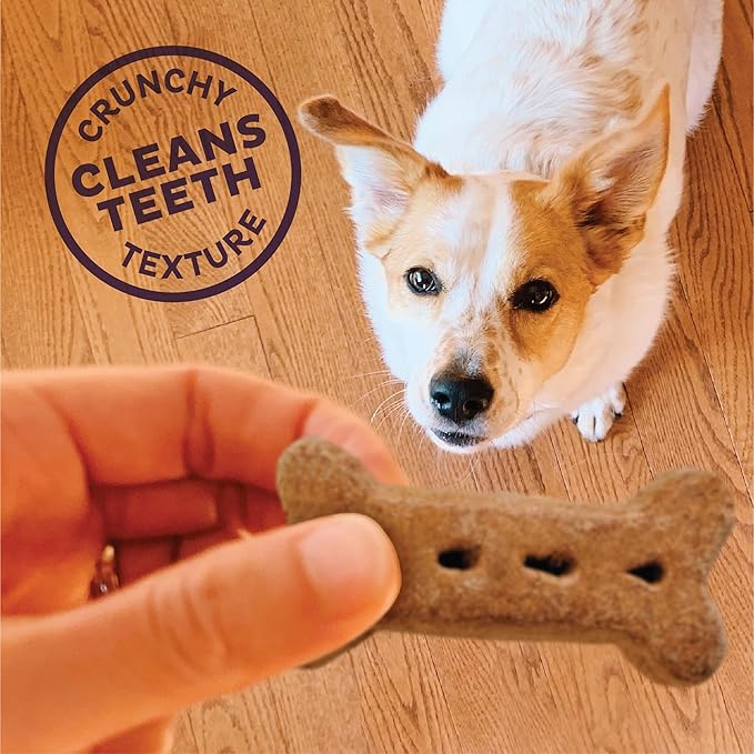 Old Mother Hubbard Wellness Bac'N'Cheez Dog Biscuits, Natural, Training Treats, Bacon & Cheese Flavor, Large Size, (3.3 Pound Bag)