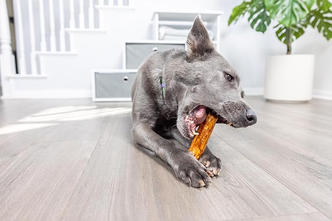 Wild Eats Salmon Flavor Collagen Retriever Style Cheek Rolls 5" Dog Chews-10 Pack (Long Lasting Dog Chews Treats & Bones for Medium Dogs) Rawhide Alternative, No Hide, Pig Ears Substitute for Dogs