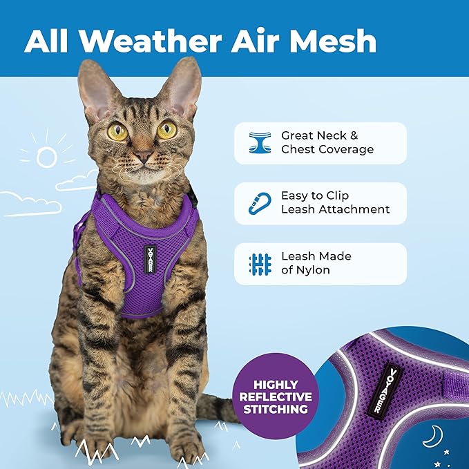 Voyager Escape-Proof Step-in Lock Cat Harness & 5ft Neoprene-Handle Leash Set All-Weather Mesh with Reflective Stitching for Small to Large Cats by Best Pet Supplies, Purple (327), S