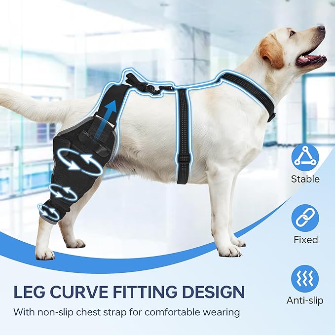 Dog Knee Brace for Back Leg - Adjustable Breathable Canine Leg Wrap with Hot & Cold Gel Packs - Supports Large & Medium Dogs with Arthritis, Hip Dysplasia, ACL Injuries, Right Hind Leg (M)