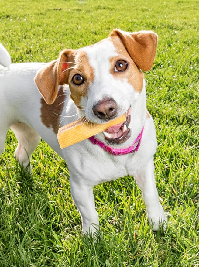 peaksNpaws Yak Cheese Himalayan Dog Chews, High Protein, Natural Dog Treats Small Dogs, Lactose Free Chew Sticks for Aggressive Chewers, Long Lasting Pet Treat for Dogs Under 15 lbs, 9 Small Chews