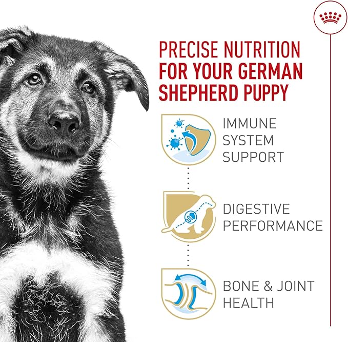 Royal Canin Breed Health Nutrition German Shepherd Puppy Dry Dog Food, 2.5 lb