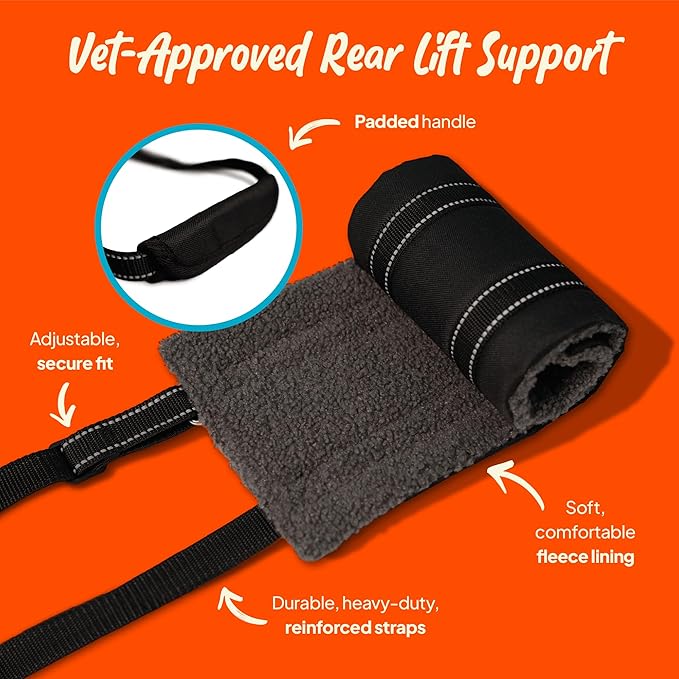Dog Lifting Harness - Mobility Sling for Weak Back Legs - Rear Support with Soft Fleece Pad, Adjustable Straps & Padded Handle for Recovery & Senior Dogs - Machine Washable (Size L)
