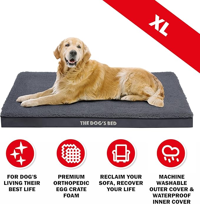 The Dog’s Bed Orthopedic Standard Foam Dog Bed Mattress, Plush Fabric, Grey, XL