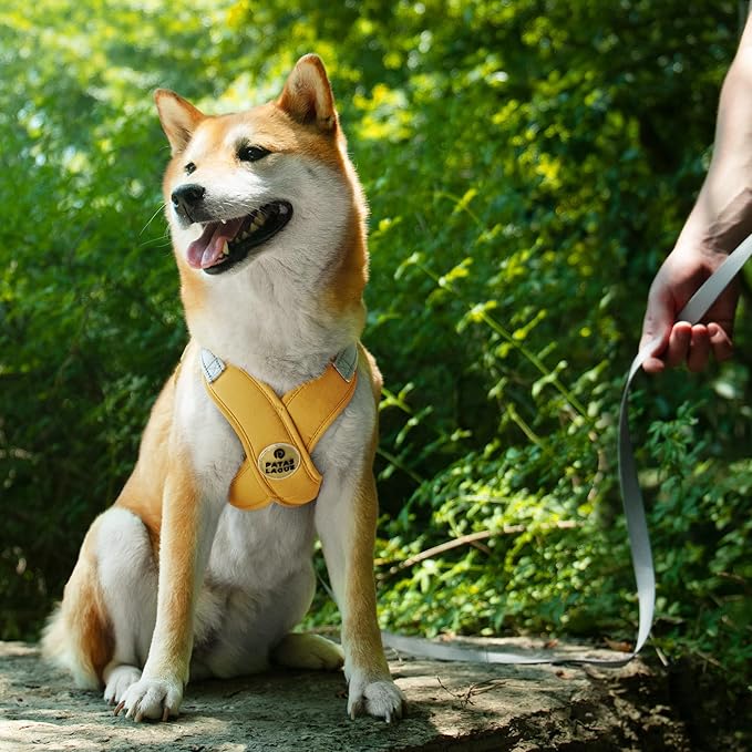 Patas Lague Dog Harness with Leash Set Adjustable Soft Padded Step-in Dog Vest No Choke No Pull Reflective for Medium Pets with Poop Bags and Dispenser, Solid and No-chew, Yellow L