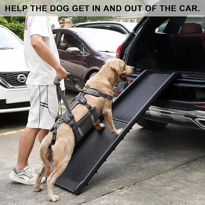 COODEO Mobility Dog Lift Harness, Emergency Carry Sling, Pet Rear Leg Support Rehabilitation Lifts Vest, Dog Carrier for Senior Dogs Joint Injuries, Arthritis (Military Green, XL)