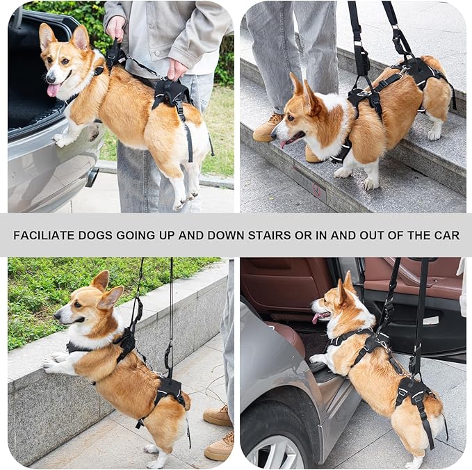 Dog Lift Harness, Dog Lift Sling Carrier with Handle & Shoulder Sling, Support Harness for Rear Back Legs Helps,Disabled,Arthritis,Joint Injuries,Paralysis Up Stairs（Black,Large）