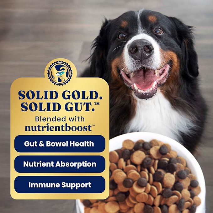 Solid Gold Salmon Dog Food for Sensitive Stomachs – Grain Free & Gluten Free Kibble w/Probiotics to Support Gut Health & Digestion - Sensitive Stomach Dog Food for All Ages – Nutrientboost™ – 3.75 LB