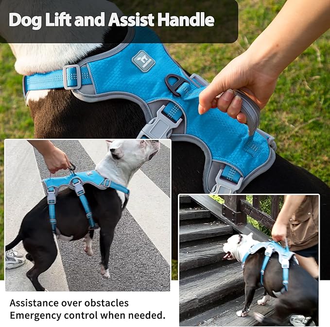 Huntboo Escape Proof Dog Harness, Escape Artist Harness, Reflective Harness with Padded Handle, Breathable, Durable, Adjustable Vest for Medium Dogs Walking, Training, and Running Gear (Blue, S)