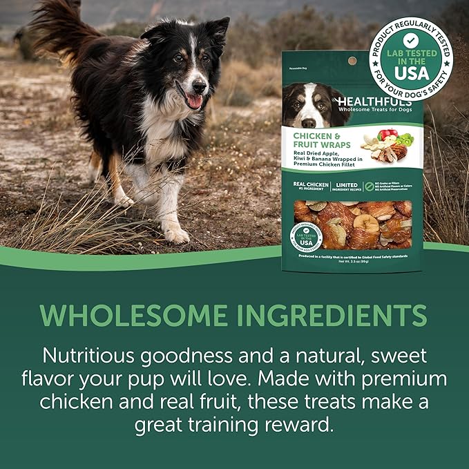 WESTMINSTER PET PRODUCTS Healthfuls Chicken Wrapped Fruit Treats, 3.5 oz - Dried Apple, Kiwi, and Banana Wrapped in Premium Chicken Filet - Healthy, Protein Rich Treats for Dogs