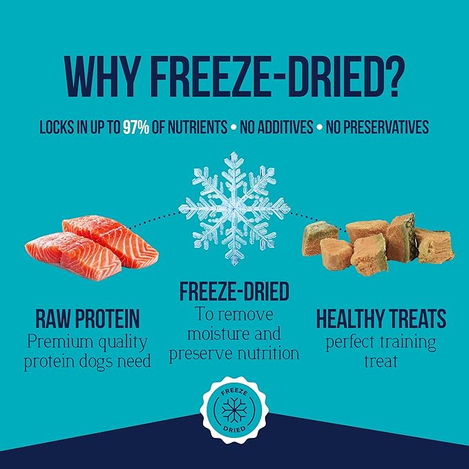 Stewart 100% Wild Salmon Dog Treats, 9.5 oz Tub, ~190 Pieces, Freeze Dried Raw, Ingredient, 65% Protein Training Treats or Meal Topper, Grain Free, Gluten Free (Pack of 2)
