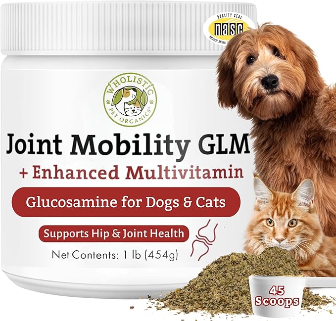 Wholistic Pet Organics - Hip and Joint Supplement for Dogs & Cats - Cat & Dog Joint Supplement - Green Lipped Mussels, Glucosamine, Chondroitin for Dogs & Cat Mobility Support - 1 Lb - 45 Scoops