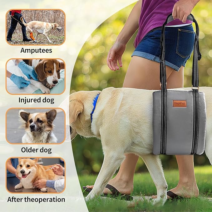 Dog Lift Harness for Large Dogs, Adjustable Comfortable Dog Sling with Handle, Knee & Rear Leg Support for Torn ACL Rehabilitation, Weak Rear Legs, Helps Senior, Disabled Canines(Grey,M)