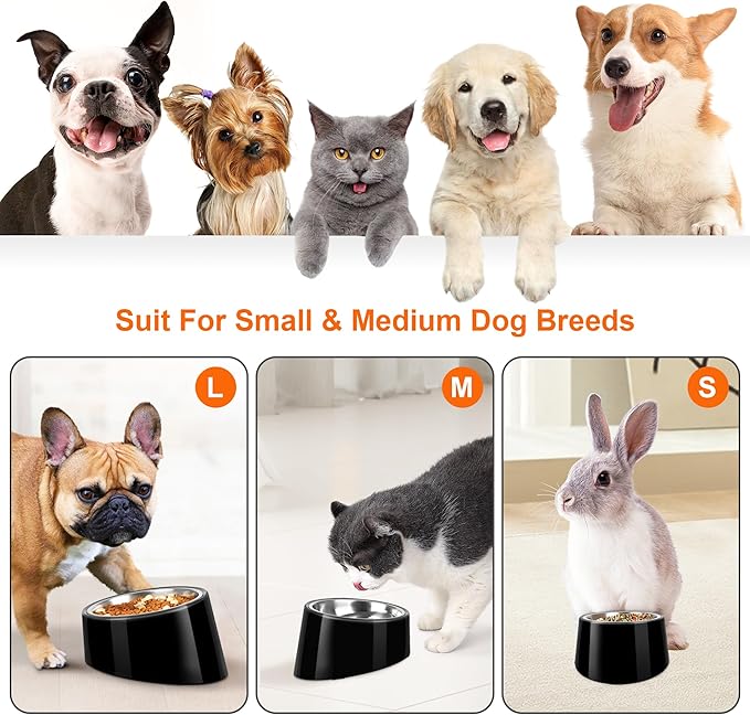 Tilted Dog Bowl Non-Slip & Non-Spill Pet Feeder with Elevated Detachable Melamine Stand, Easy to Get Food Dog Dish, M/180ml Black