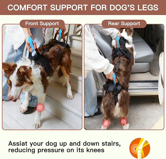 Dog Lift Harness, Full Body Dog Harness with Handle for Lifting, Front/Back Leg Support, Prevent Chafing Pee-Able Design, 2-in-1 Detachable Dog Assist Harness for Senior Disabled Dogs Up to 40lb (M)