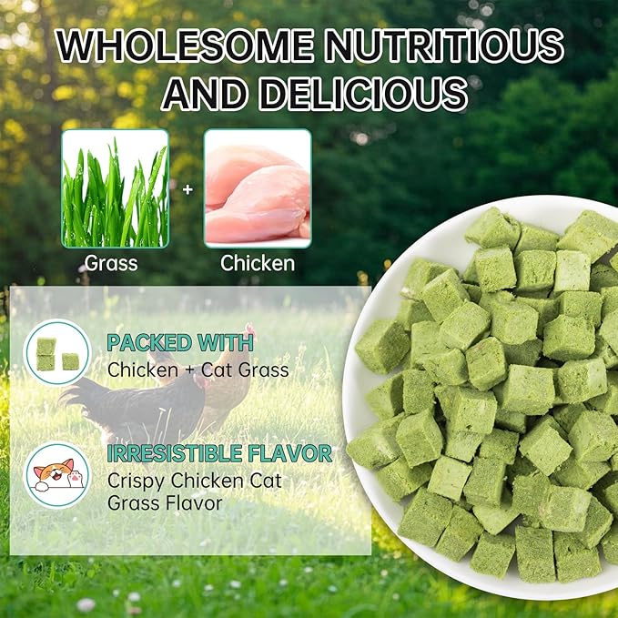 Freeze-Dried Cat Grass Dental Treats - Natural Teeth Cleaning Chews,Hairball Control,Grain-Free Edible Snacks for Indoor Cats & Kittens (80g)