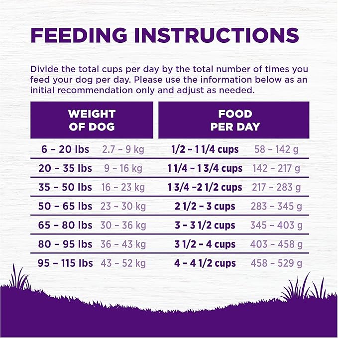 Wellness Complete Health Senior Dry Dog Food, Wholesome Grains, Natural, Age Advantage Chicken & Barley Recipe, (5-Pound Bag)
