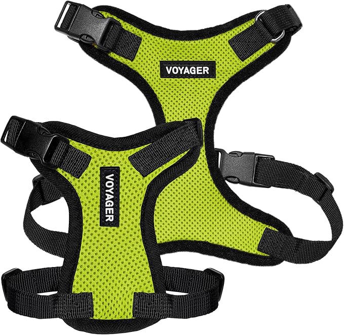 Voyager Step-in Pet Harness - All Weather Mesh, Adjustable Step in Harness for Cats and Dogs by Best Pet Supplies - Lime Green/Black Trim, L