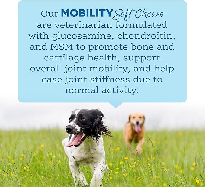 NutriSource AmpliFull Turkey Flavor Mobility Soft Chews for Dogs, Daily Joint Health Supplement with Glucosamine & Chondroitin for Flexibility & Comfort, 70 Chews (1 Pack)