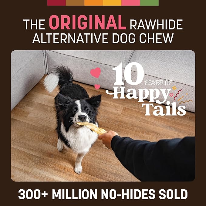 Earth Animal No Hide Strips - Natural Rawhide Free Dog Chew Strips, Salmon - 10 Count Value Pack