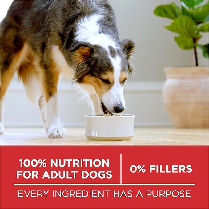 Purina ONE Dry Dog Food Lamb and Rice Formula - 16.5 lb. Bag