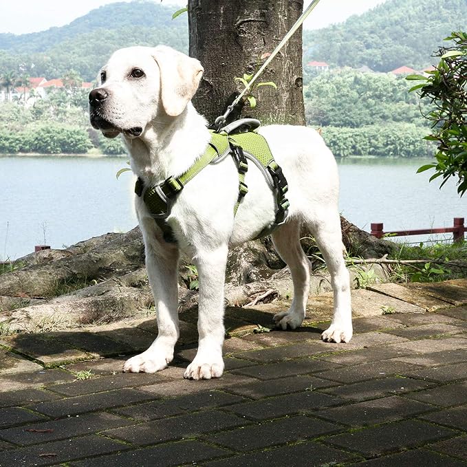 BELPRO Multi-Use Support Dog Harness, Escape Proof No Pull Reflective Adjustable Vest with Durable Handle, Dog Walking Harness for Big/Active Dogs (Green, L)
